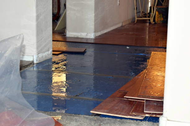 Professional Water Damage Repair technician working in Capron, IL